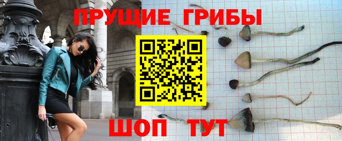 как найти   Вход с VPN  Соликамск  Псилоцибиновые грибы MAGIC MUSHROOMS 